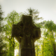 Image for article titled Photons Can Communicate From Beyond the Grave
